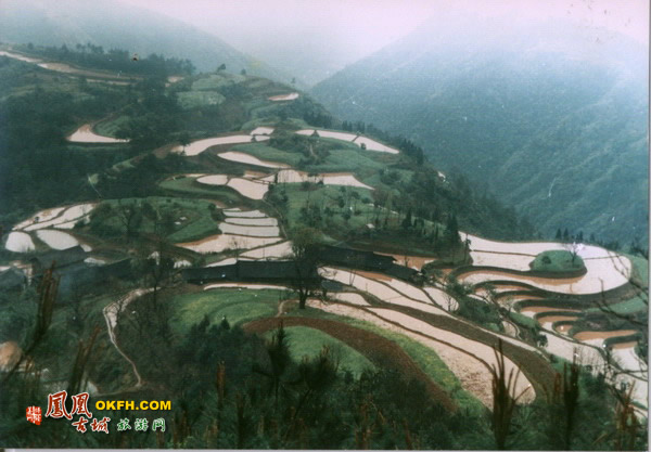 ��(bi��o) �}:���A���ͷ����l(xi��ng)�c�ط���Ҏ(gu��)���߽�
�� �ߣ����A
�� ��:2007-11-29 18:14:12
�c ��:329