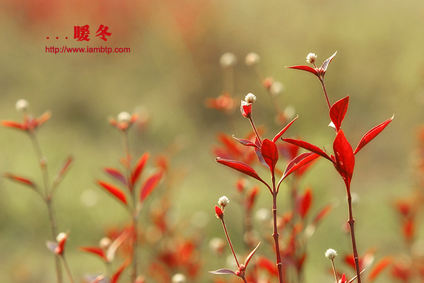 ��(bi��o) �}:�����R���r(n��ng)�����ؼ��w�����ƃ�(y��u)��(sh��)����(sh��)�F(xi��n)��ʽ
�� �ߣ������R
�� ��:2017-07-13 10:55:21
�c(di��n) ��:10001