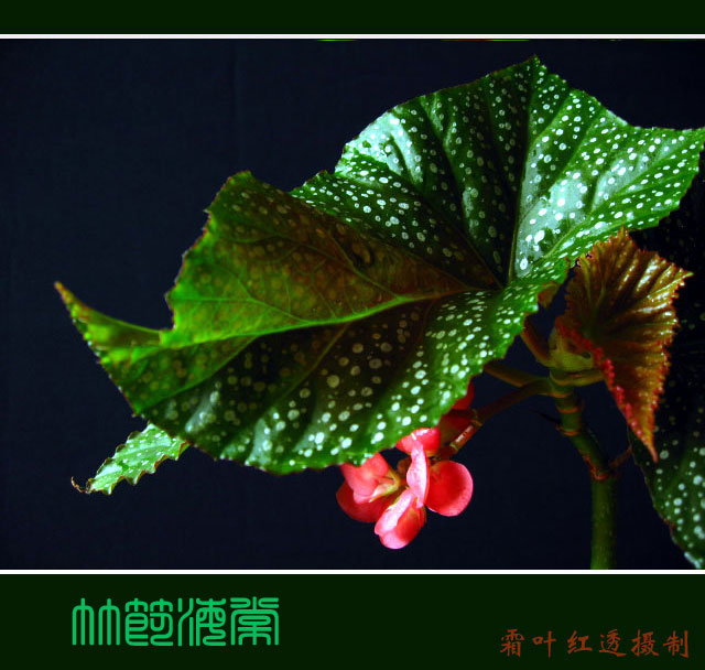 ��(bi��o) �}:�λ���:���Ļ���λ�������r(n��ng)�彨�O(sh��)
�� �ߣ��λ���
�� ��:2007-06-26 14:48:29
�c(di��n) ��:856