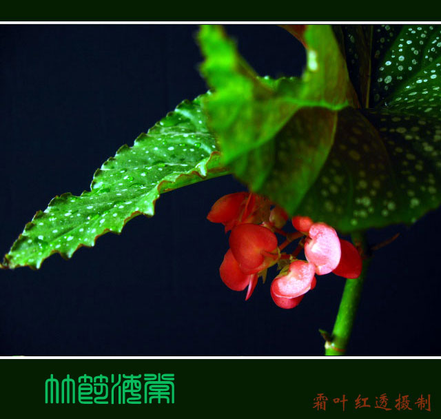 �� �}:��Ԓ��������(chu��ng)�쪚��˼�������п��g
�� �ߣ����� ���w
�� ��:2007-07-11 10:34:27
�c ��:419