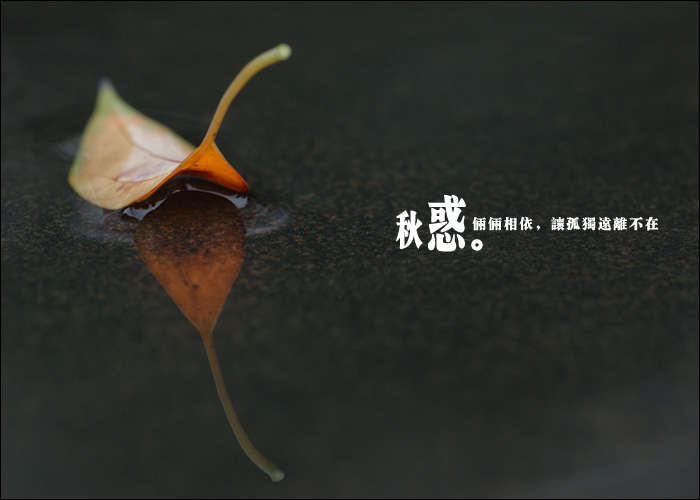 ��(bi��o) �}:�ε��ģ����` �L(f��ng)��3���е����w���}
�� �ߣ��ε���
�� ��:2014-11-19 10:26:10
�c(di��n) ��:2234