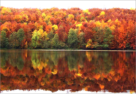 ��(bi��o) �}:�޽��������ǰ;�� ����Ҳ�x�Rѩ���������l(xi��ng)���ǰ;��
�� �ߣ��޽�
�� ��:2007-11-09 15:57:40
�c(di��n) ��:258