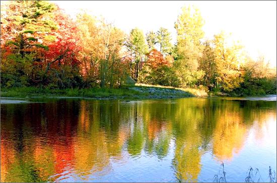 ��(bi��o) �}:�Rѩ�壺�����(hu��)���A(ch��)���r(ji��)ֵ���A(ch��)
�� �ߣ��Rѩ��
�� ��:2007-11-09 21:19:35
�c(di��n) ��:540