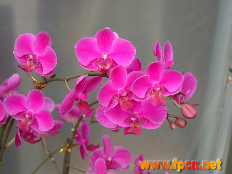 �� �}:��ɫ���䡷���Ʋ��� Ӱ�u������o�h������
�� �ߣ�snzg
�� ��:2007-11-15 16:43:17
�c ��:413