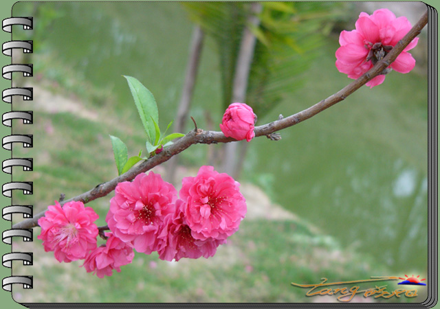 ��(bi��o) �}:۳�c�S����Փ�r(n��ng)���о�����֮���潛(j��ng)�(y��n)��
�� �ߣ�۳�c�S
�� ��:2007-11-18 00:19:08
�c(di��n) ��:681