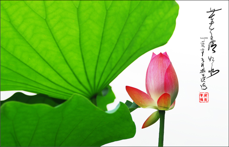 ��(bi��o) �}:�������M(f��i)���x�c�l(xi��ng)��ǰ;
�� �ߣ�����
�� ��:2008-04-03 11:58:05
�c(di��n) ��:212