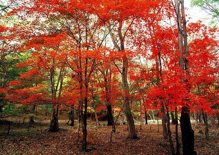 ��(bi��o) �}:���Ϸ���ĩ���ġ����ČW(xu��)��
�� �ߣ�sn
�� ��:2008-11-16 09:17:14
�c(di��n) ��:2045