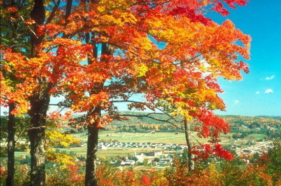 ��(bi��o) �}:�S���ǣ��Ї�С�r(n��ng)��(j��ng)��(j��)���^ȥ�ͬF(xi��n)�ڡ����栖����Փ�Č��e
�� �ߣ��S����
�� ��:2009-01-24 10:55:55
�c(di��n) ��:1776