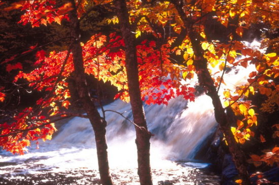 ��(bi��o) �}:�S�����������Ї��l(xi��ng)���о�����6݋Ŀ�
�� �ߣ��S����
�� ��:2009-01-22 14:48:57
�c(di��n) ��:2621