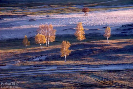 ��(bi��o) �}:Σ�C(j��)�к��Ԇ���(d��ng)�r(n��ng)���(n��i)����
�� �ߣ��Z���� �Z����(w��n)
�� ��:2009-02-24 00:14:53
�c(di��n) ��:1796