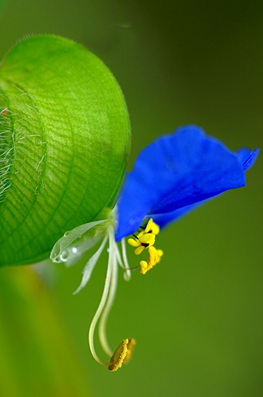 ��(bi��o) �}:�O���A��ԇՓ����(gu��)���ں���ʡ�r(n��ng)���������(qu��n)���O(sh��)
�� �ߣ��O���A
�� ��:2009-06-23 12:03:03
�c(di��n) ��:6219