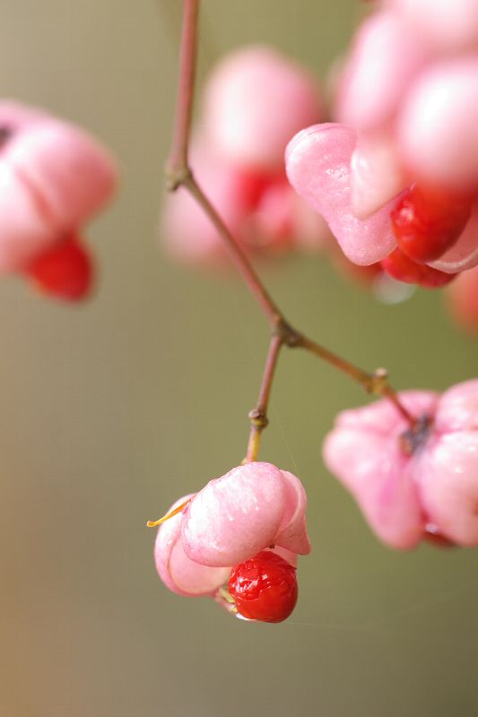 ��(bi��o) �}:�r(n��ng)��֮�� ���چ�ʧ�������x
�� �ߣ����� ���� �Rѩ��
�� ��:2009-06-27 09:30:28
�c(di��n) ��:4646