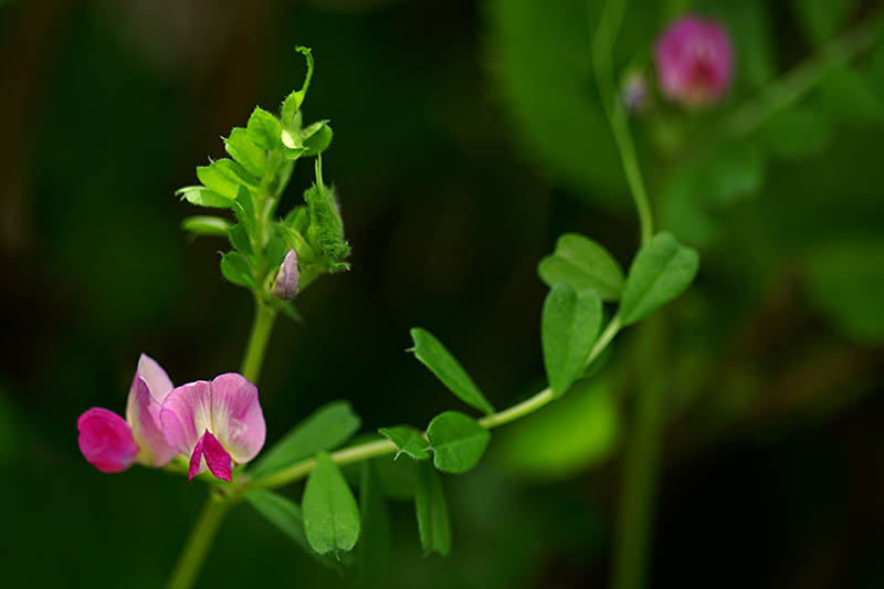 �� �}:�Rѩ��:һ�����a(ch��n)�I(y��)�ںϿ��������r(n��ng)���������
�� �ߣ��Rѩ��
�� ��:2018-09-23 08:54:27
�c ��:15273