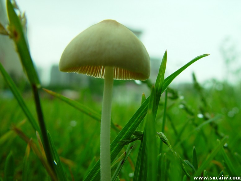 ��(bi��o) �}:���ܺƣ�ý�鼴��Ϣ����Ϣ���ڱ�
�� �ߣ����ܺ�
�� ��:2012-08-08 00:07:04
�c(di��n) ��:1275