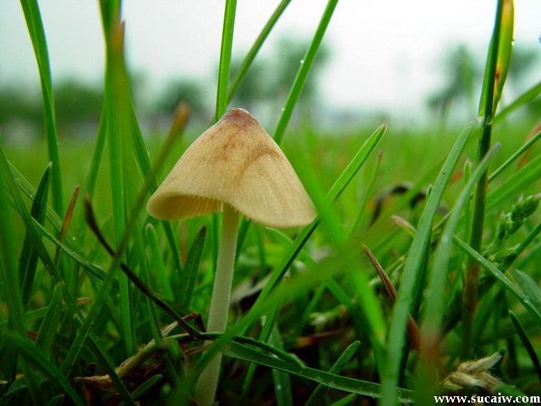 ��(bi��o) �}:�S�����y�����s�ĕr��
�� �ߣ��S��
�� ��:2009-09-08 23:55:36
�c ��:1143