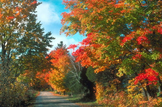 ��(bi��o) �}:�����A�����|�{(di��o)���S��
�� �ߣ������A
�� ��:2009-09-08 00:35:47
�c ��:1089