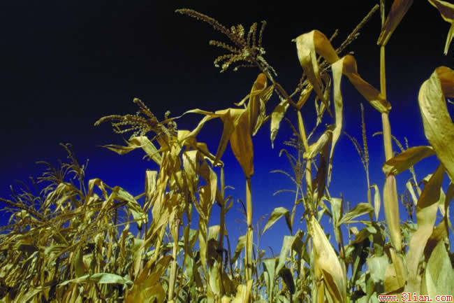 �� �}:���P����ǰ�l(xi��ng)��ڄ����͘I(y��)�����g�Y������
�� �ߣ����P
�� ��:2009-09-21 18:35:28
�c ��:3452