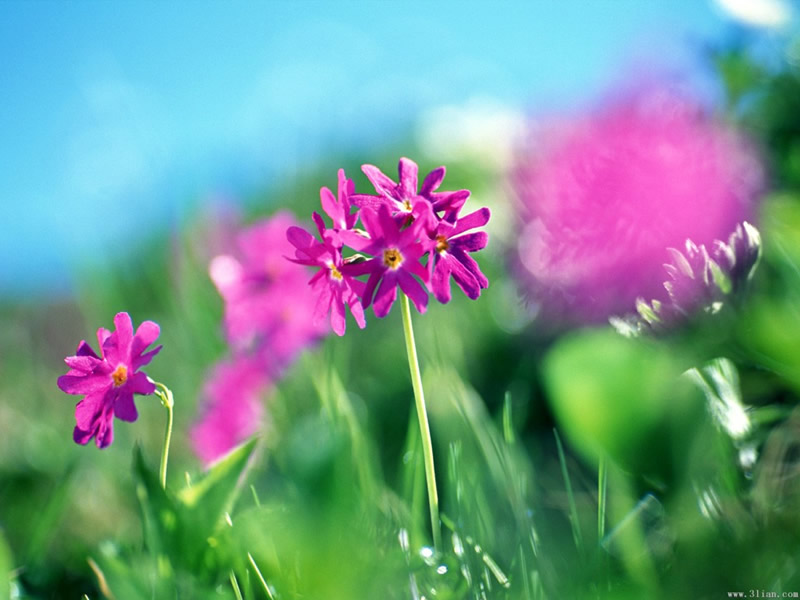 ��(bi��o) �}:�ڶ����A�е؅^(q��)����ƌW(xu��)��(j��ng)�(y��n)�о�����W(xu��)��Փ��֪ͨ
�� �ߣ������ư�
�� ��:2011-04-27 23:06:36
�c(di��n) ��:1933