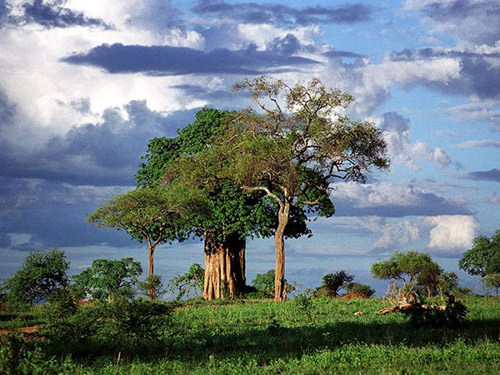 �� �}:�ň@�@����ټ��l(xi��ng)Ҋ
�� �ߣ��ň@�@
�� ��:2013-08-26 08:34:46
�c ��:4145