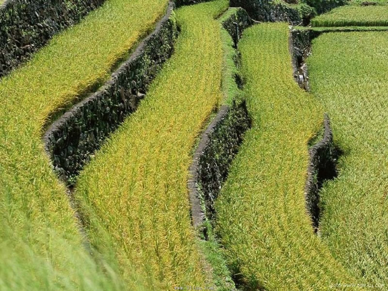 ��(bi��o) �}:�����Լ�ͥ�r(n��ng)�����Ї�С�r(n��ng)��(j��ng)������һ�N���_(d��)
�� �ߣ��ྚ������
�� ��:2013-12-15 21:13:42
�c ��:2519