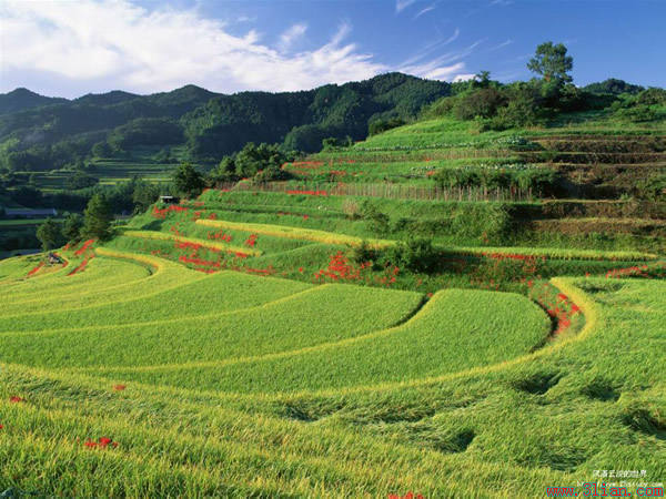 ��(bi��o) �}:��x�£������Y�����l(xi��ng)�ļ�ͥ�r(n��ng)�I(y��)
�� �ߣ���x��
�� ��:2013-12-17 15:27:38
�c ��:3221