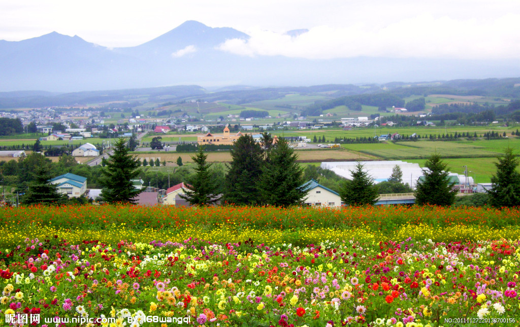 ��(bi��o) �}:ӡ�ӣ������������ǹ�ԇ�
�� �ߣ�ӡ��
�� ��:2015-06-10 10:39:06
�c ��:5866